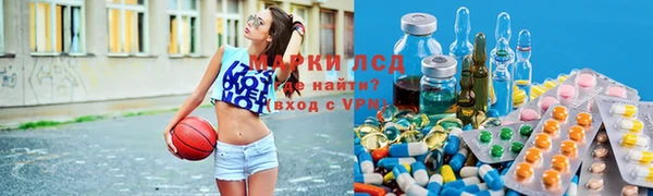 a pvp Дмитров