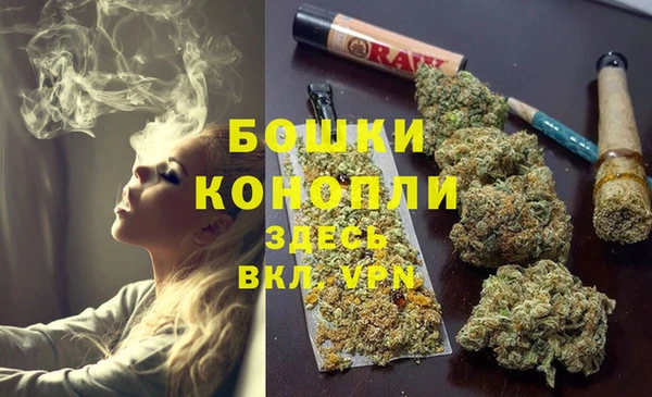 молекула духа Гусиноозёрск