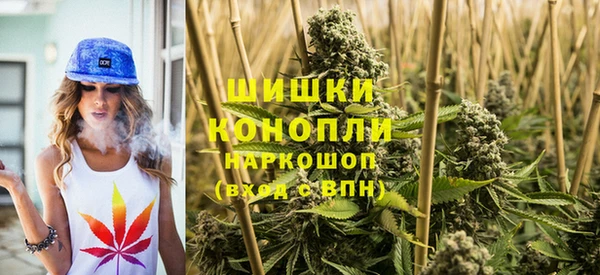 молекула духа Гусиноозёрск