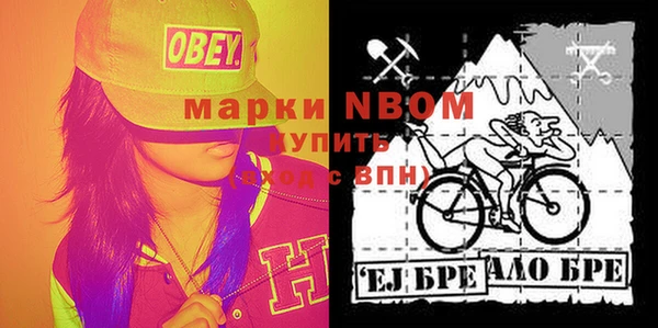 молекула духа Гусиноозёрск