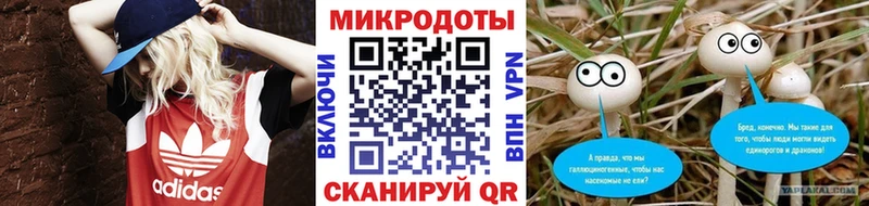 Псилоцибиновые грибы MAGIC MUSHROOMS  Зуевка 